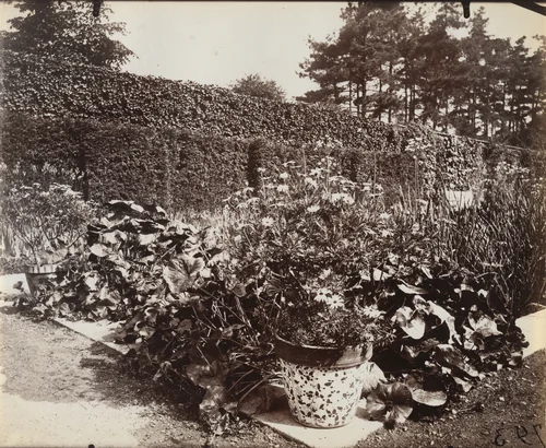 Jardin Bagatelle by Eugène Atget, photograph, 1915