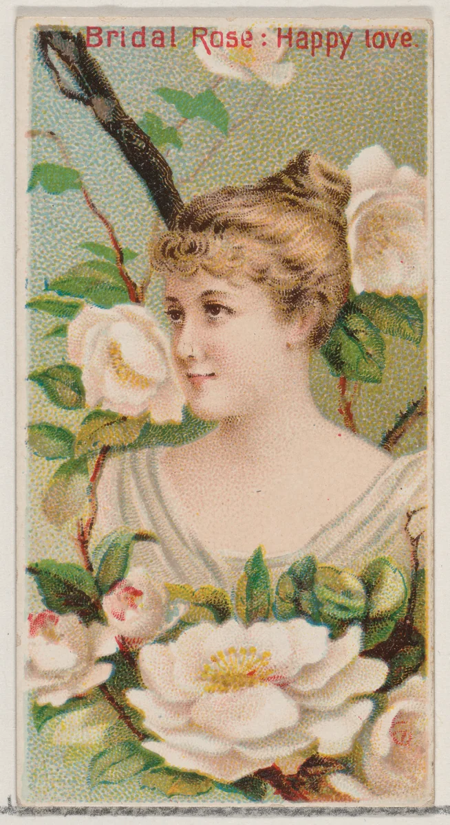Bridal Rose: Happy Love, from the series Floral Beauties and Language of Flowers (N75) for Duke brand cigarettes by American Tobacco Company, print, 1892