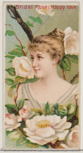 Bridal Rose: Happy Love, from the series Floral Beauties and Language of Flowers (N75) for Duke brand cigarettes by American Tobacco Company, print, 1892