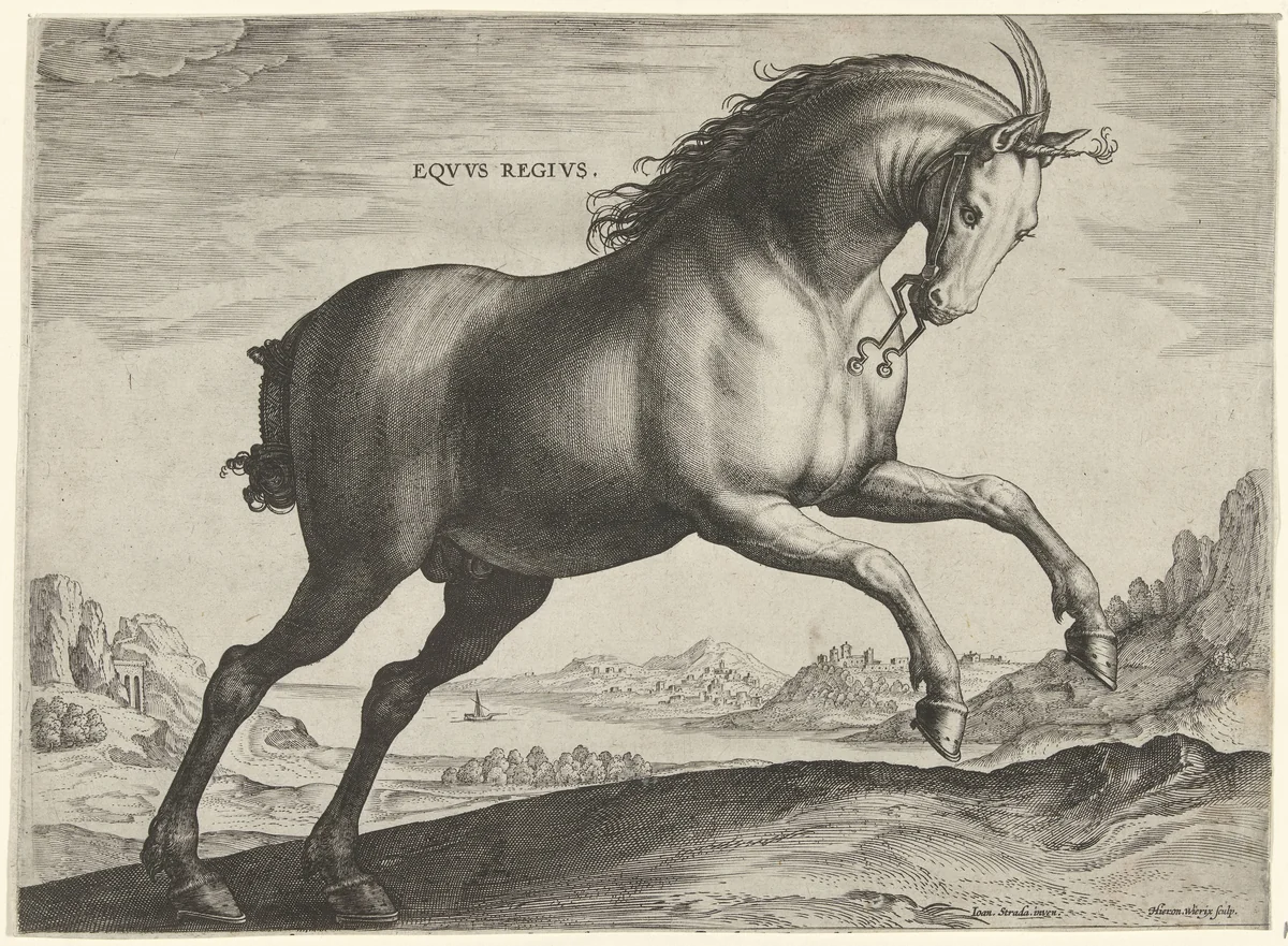 Paard van het ras Equus Regius (de Koninklijke) by Unknown, print, 1578-1582