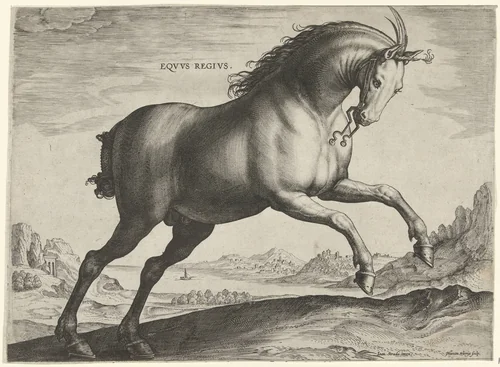 Paard van het ras Equus Regius (de Koninklijke) by Unknown, print, 1578-1582