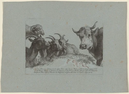 Study of Heads: Three Goats, an Ox, and a Ram by Francesco Londonio; Alberico da Barbiano, print, 1783