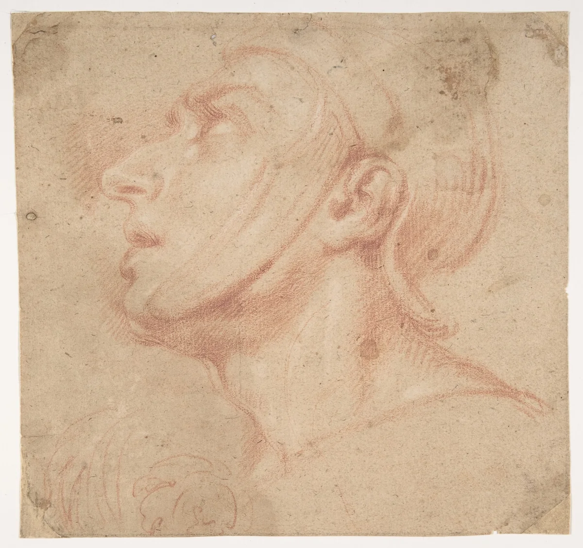 Head of a Man Wearing a Helmet, Looking to Upper Left (recto); Two Sketches, Arms and Hands (verso) by Francesco di Maria, drawing, 1623-1690