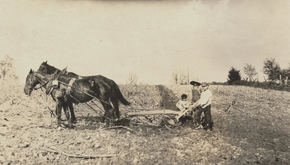 Willie Nall, Raymond Jones, and Denver Jones, near Elizabethtown, Kentucky by Lewis Wickes Hine, photograph, 1916