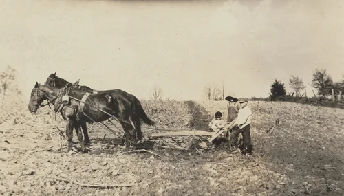 Willie Nall, Raymond Jones, and Denver Jones, near Elizabethtown, Kentucky by Lewis Wickes Hine, photograph, 1916