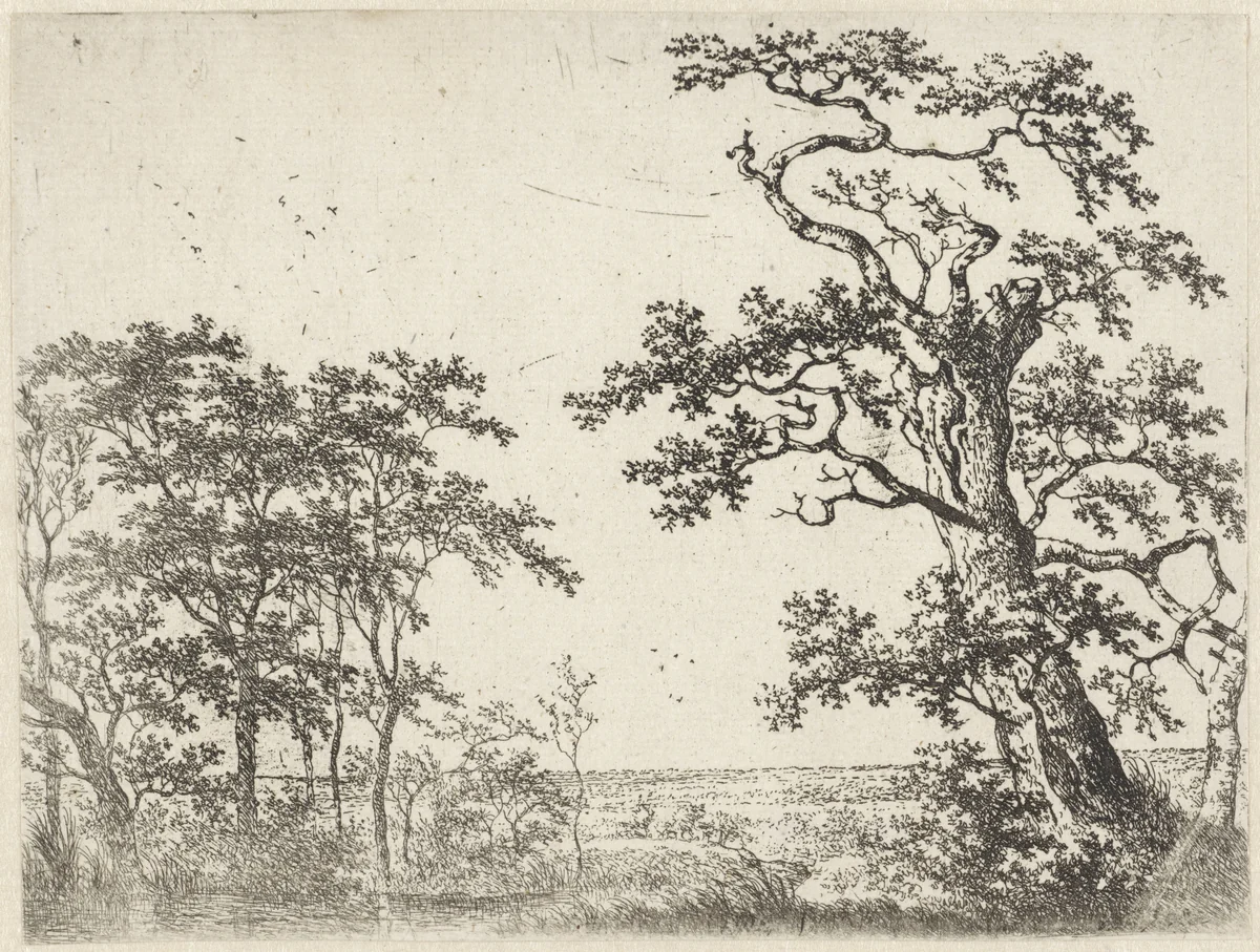 Landschap met een beek by Adriaen Hendriksz. Verboom, print, 1637-1673