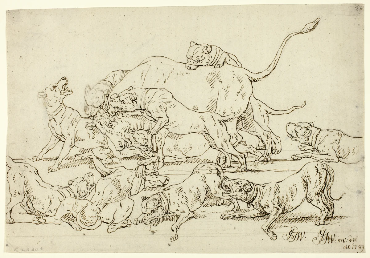 Dogs Attacking a Bull by Joseph Georg Wintter, drawing, 1789