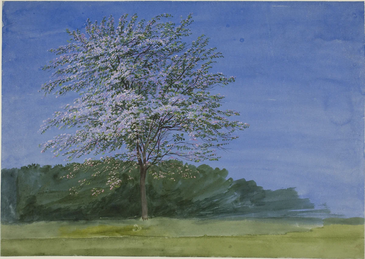 Study of a Tree in Bloom by William Turner, painting, 1830-1840