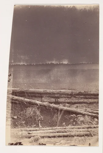 [The Wilderness Battlefield] by G. O. Brown, photograph, 1866