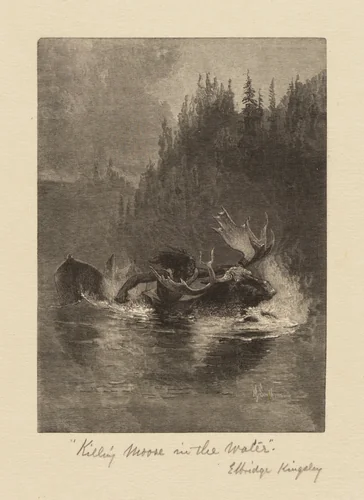 Killing Moose in the Water by Elbridge Kingsley, print, 1880-1890