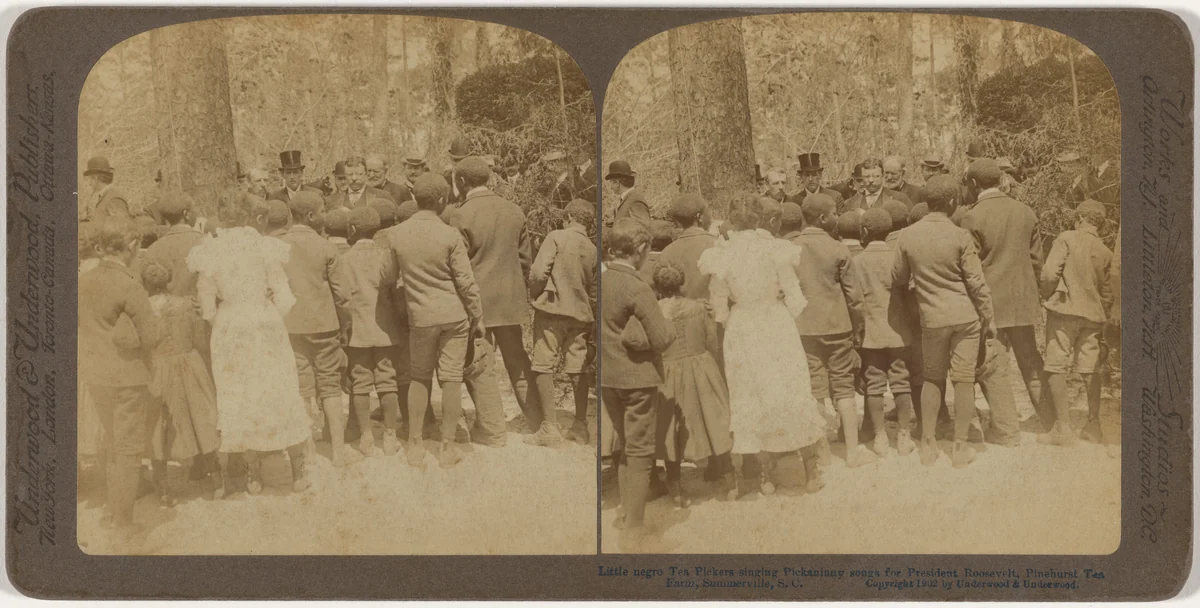 Singing for President Roosevelt, Pinehurst Tea Farm, Summerville, South Carolina by Underwood & Underwood, photograph, 1902