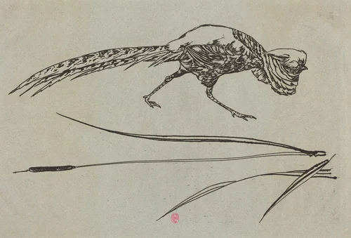 Pheasant by Félix Bracquemond, print, 1866
