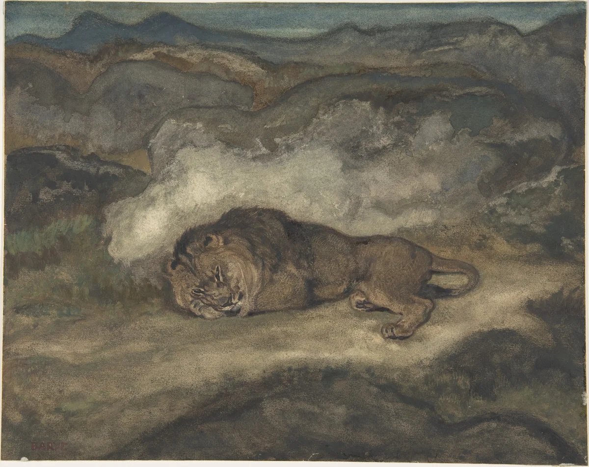 Lion Sleeping by Antoine-Louis Barye, drawing, 1810-1875