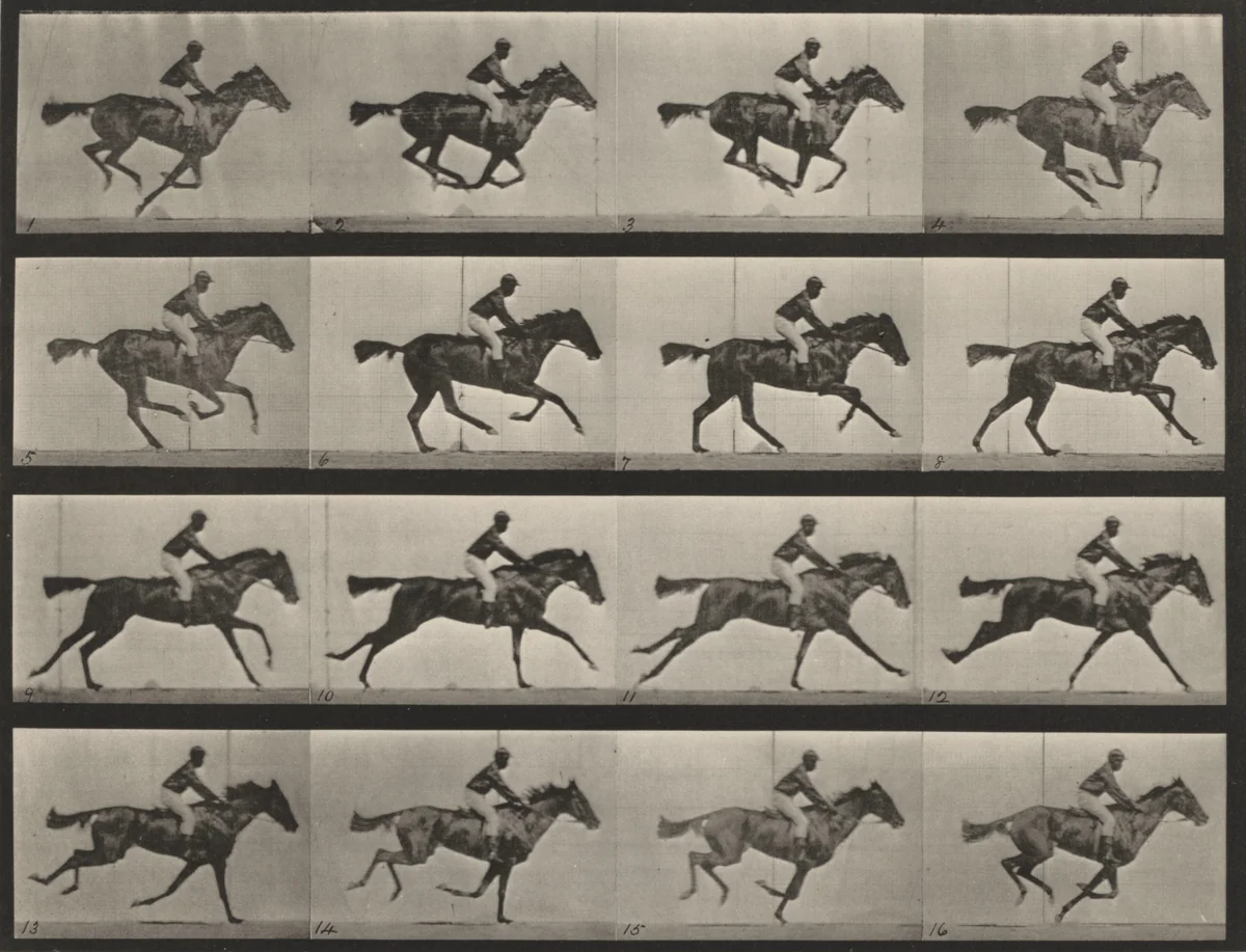 Plate Number 626. "Annie G." galloping by Eadweard Muybridge, photograph, 1887