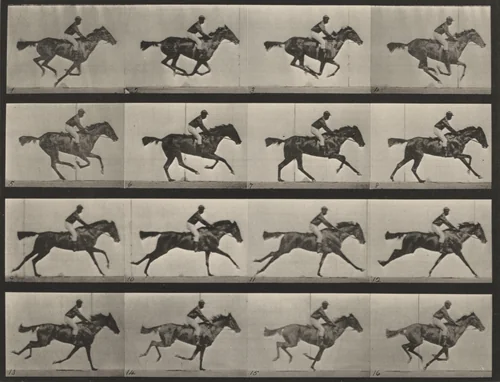 Plate Number 626. "Annie G." galloping by Eadweard Muybridge, photograph, 1887