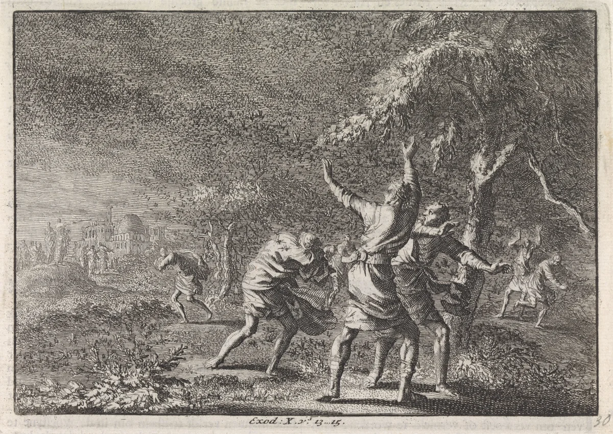 Plaag van de sprinkhanen by Jan Luyken, print, 1703-1762