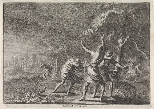 Plaag van de sprinkhanen by Jan Luyken, print, 1703-1762
