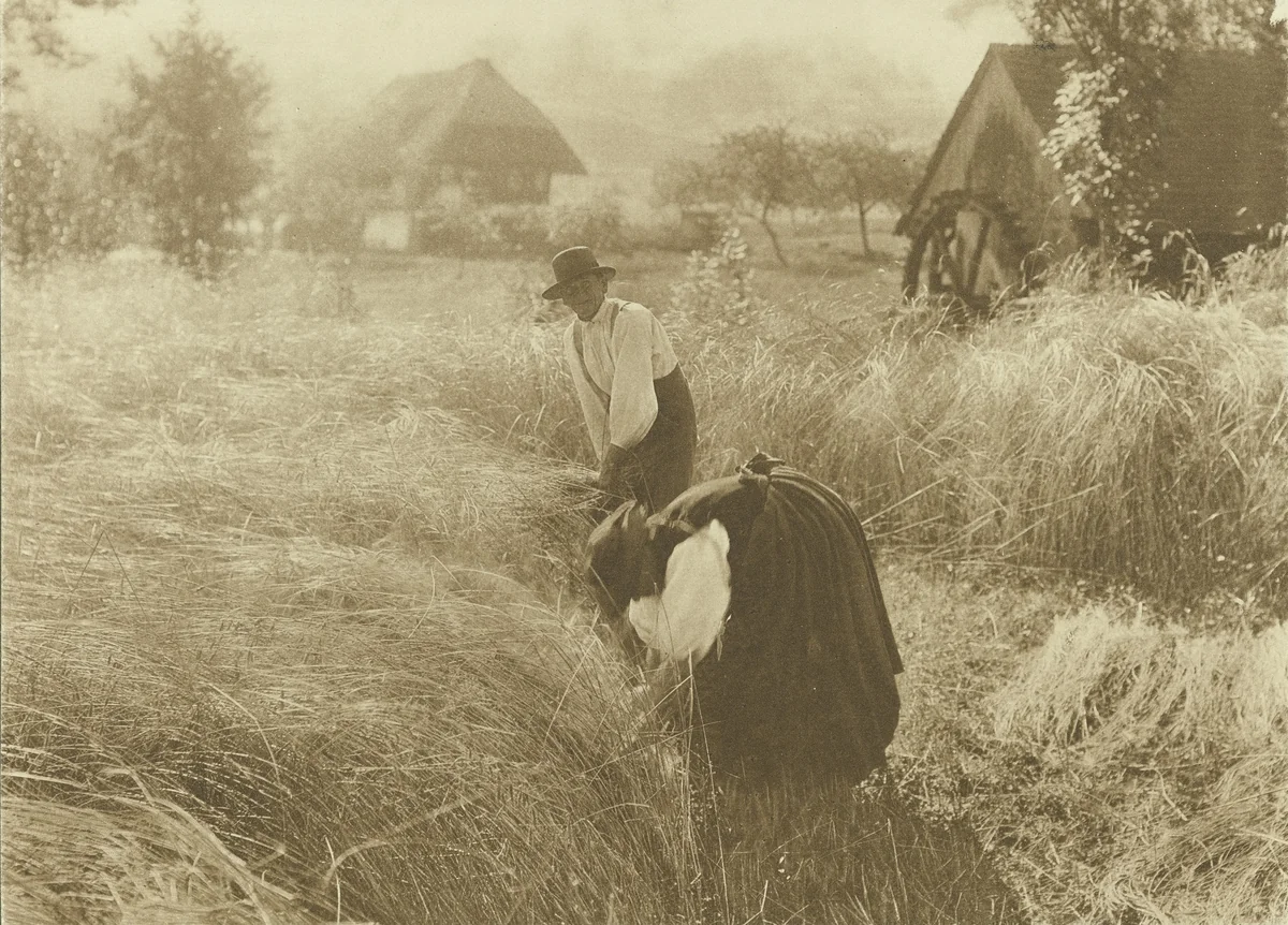 Early Morn by Alfred Stieglitz, photograph, 1900