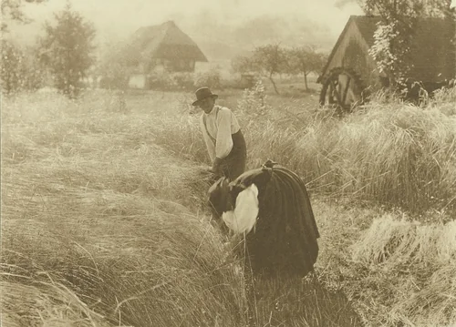 Early Morn by Alfred Stieglitz, photograph, 1900