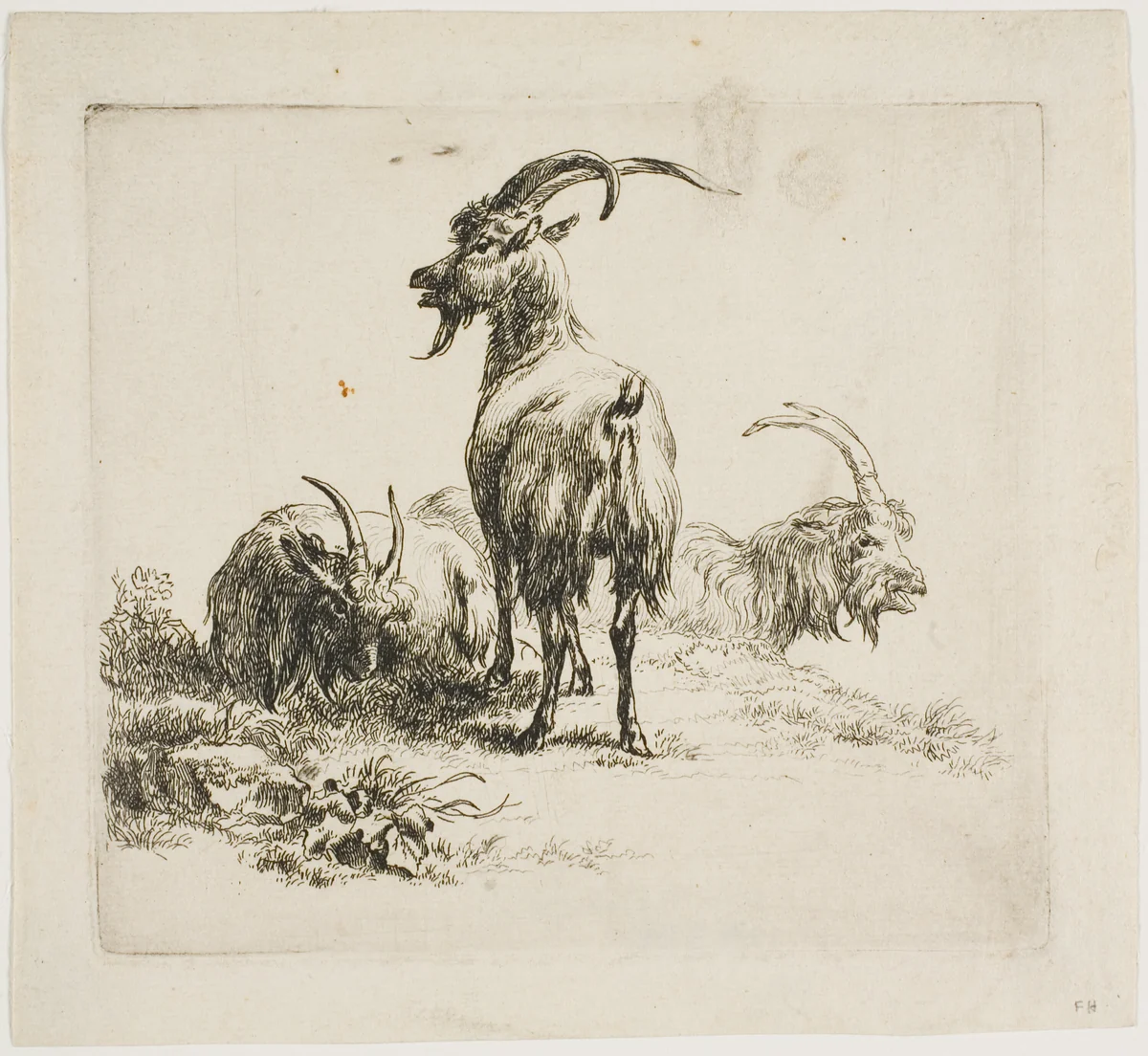 Goats, from Various Animals by Nicolaes Berchem, print, 1601-1700