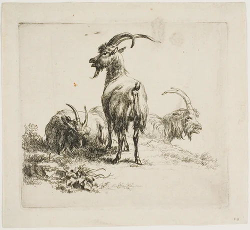 Goats, from Various Animals by Nicolaes Berchem, print, 1601-1700