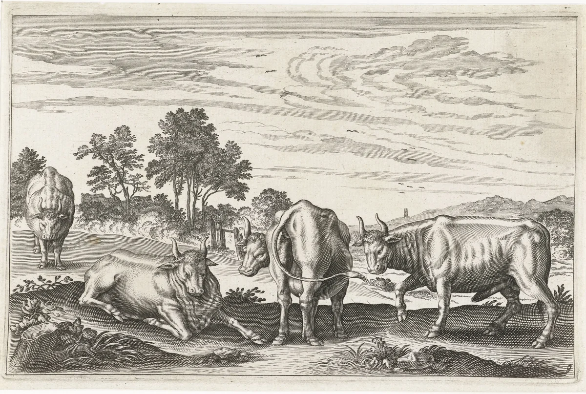 Runderen by anonymous, print, 1628-1679