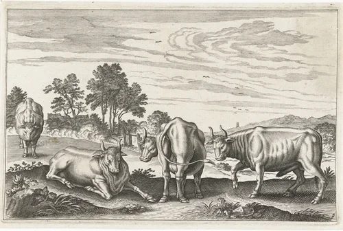 Runderen by anonymous, print, 1628-1679