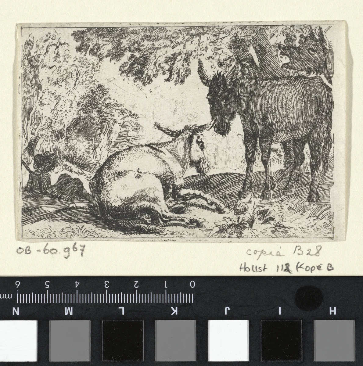 Ezels by anonymous, print, 1636-1705