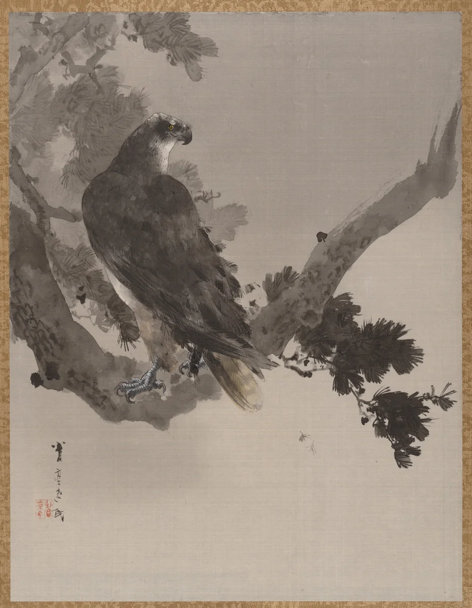 Eagle in a Tree by Watanabe Seitei (渡辺省亭), painting, 1877-1897