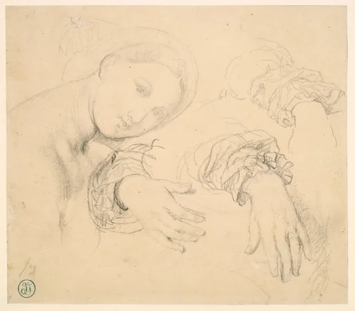 Sheet of Studies with the Head of the Fornarina and Hands of Madame de Senonnes by Jean-Auguste-Dominique Ingres, drawing, 1814-1816