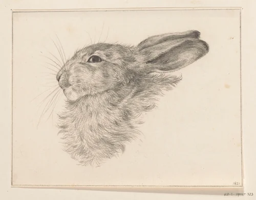 Kop van een konijn by Jean Bernard, drawing, 1821