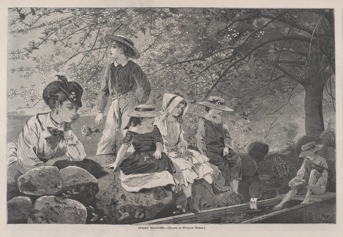 Spring Blossoms (from "Harper's Weekly," Vol. XIV) by Winslow Homer, print, 1870