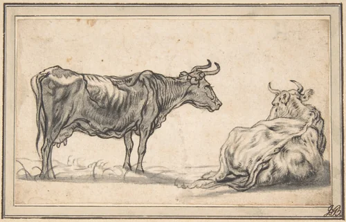 Study of Two Cows by Aelbert Cuyp, drawing, 1600-1700