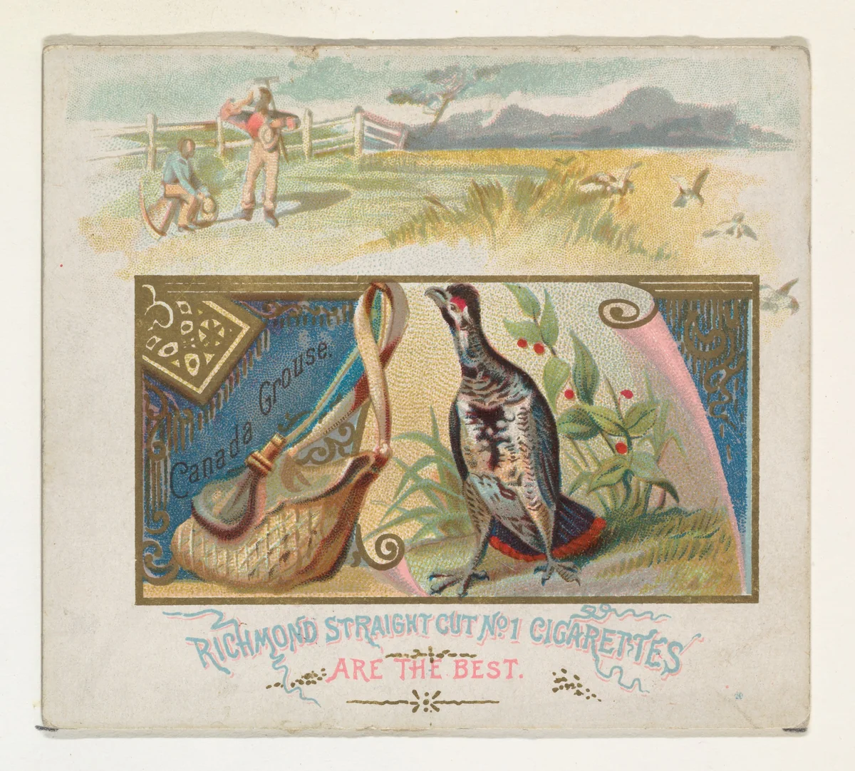 Canada Grouse, from the Game Birds series (N40) for Allen & Ginter Cigarettes by Allen & Ginter, print, 1888-1890