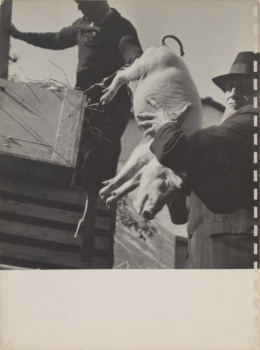 40 Fotos, page 9 by Robert Frank, photograph, 1946