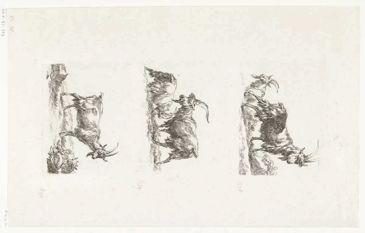 Staande geiten by anonymous, print, 1648-1733
