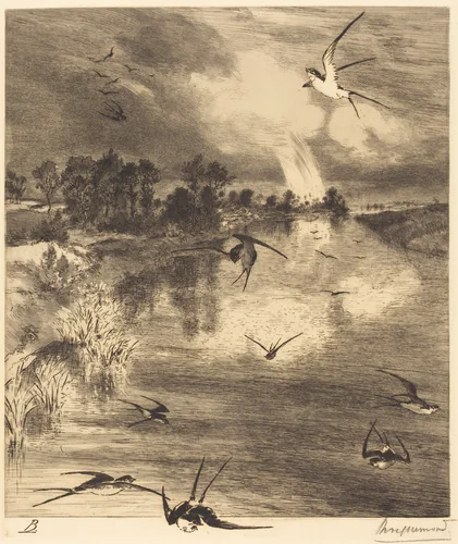 Les Hirondelles (The Swallows) by Félix Bracquemond
Frederick Keppel, print, 1882