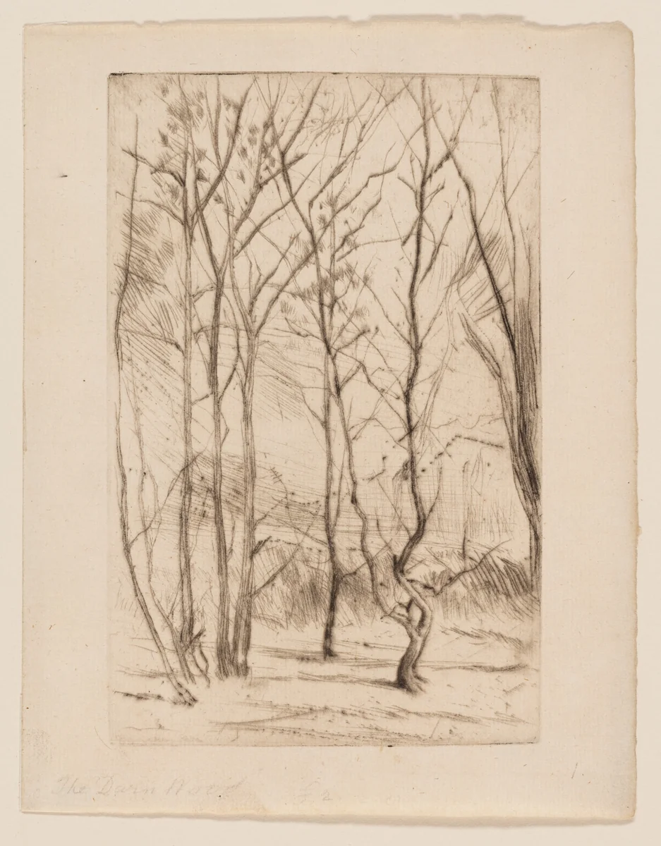 The Dam Wood by James McNeill Whistler, print, 1874-1875