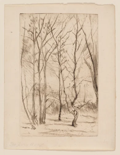 The Dam Wood by James McNeill Whistler, print, 1874-1875
