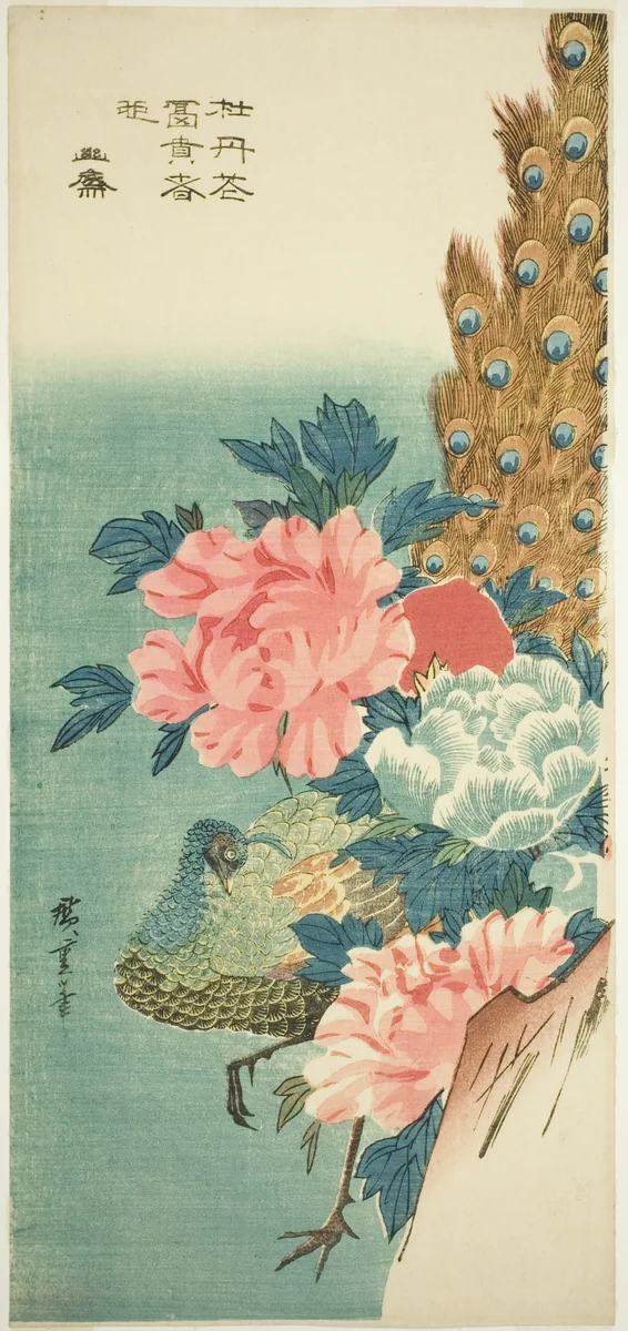 Peacock and peonies by Utagawa Hiroshige (歌川広重), print, 1830-1839