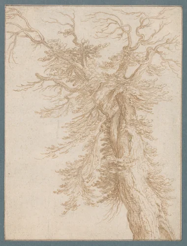 Study of a Tree by Jacques de Gheyn II, drawing, 1580-1629