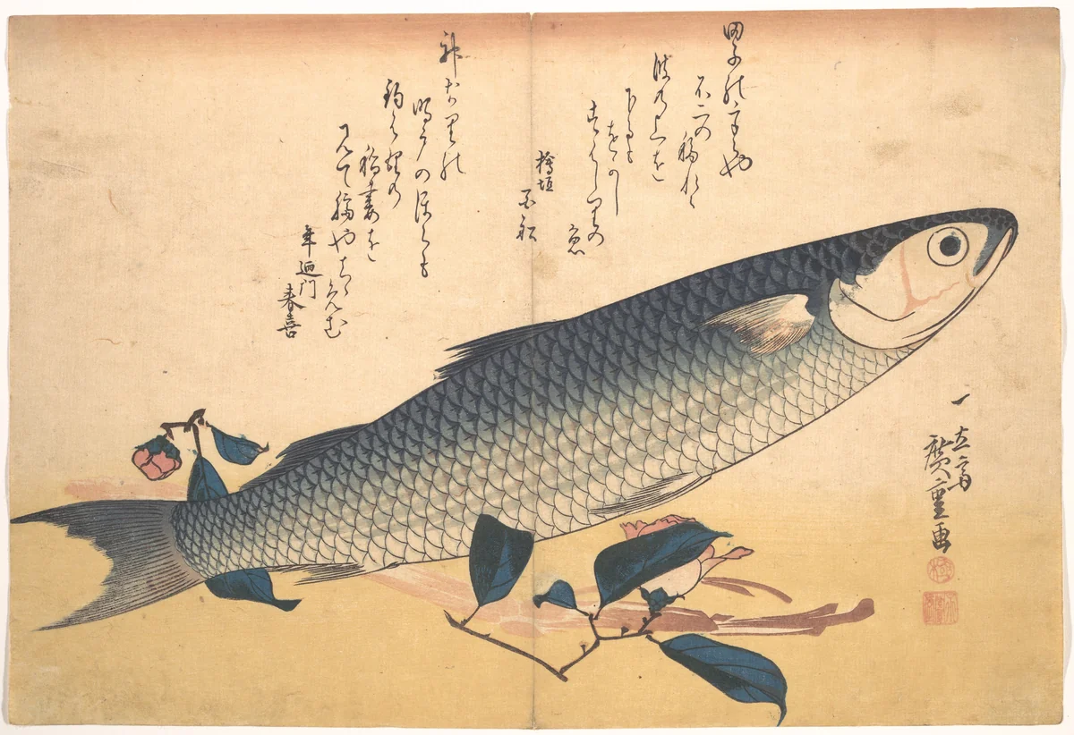 Bora Fish with Camellia, from the series Uozukushi (Every Variety of Fish) by Utagawa Hiroshige (歌川広重), print, 1830-1839