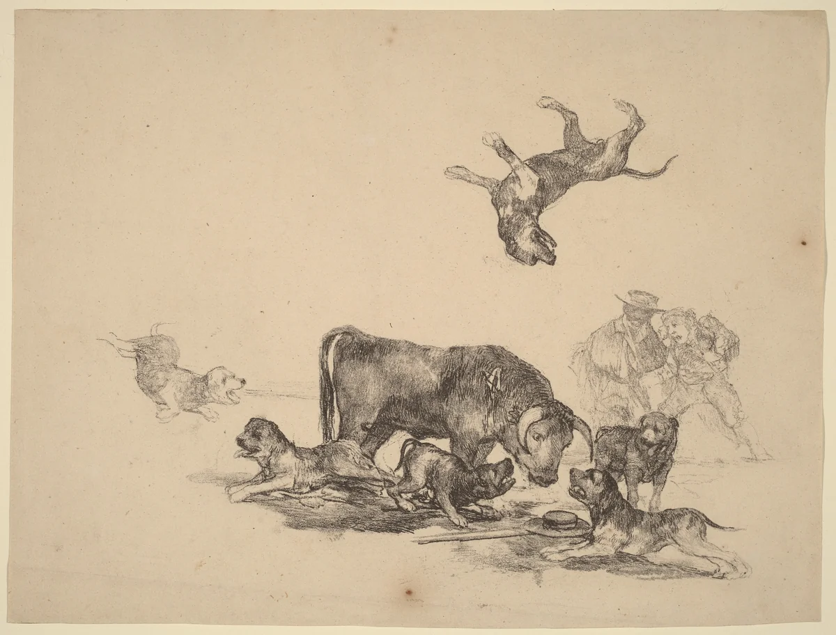Bull Attacked by Dogs by Francisco Goya, print, 1825