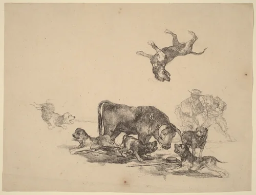 Bull Attacked by Dogs by Francisco Goya, print, 1825
