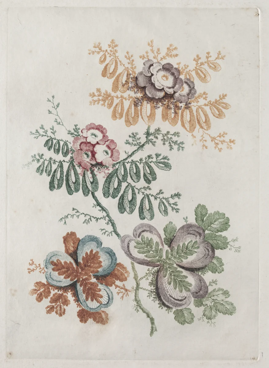 New Suite of Portfolios of Flowers Ideal to Use for Designing and Painting: Floral Fantasies by Anne Allen, print, 1791-1801