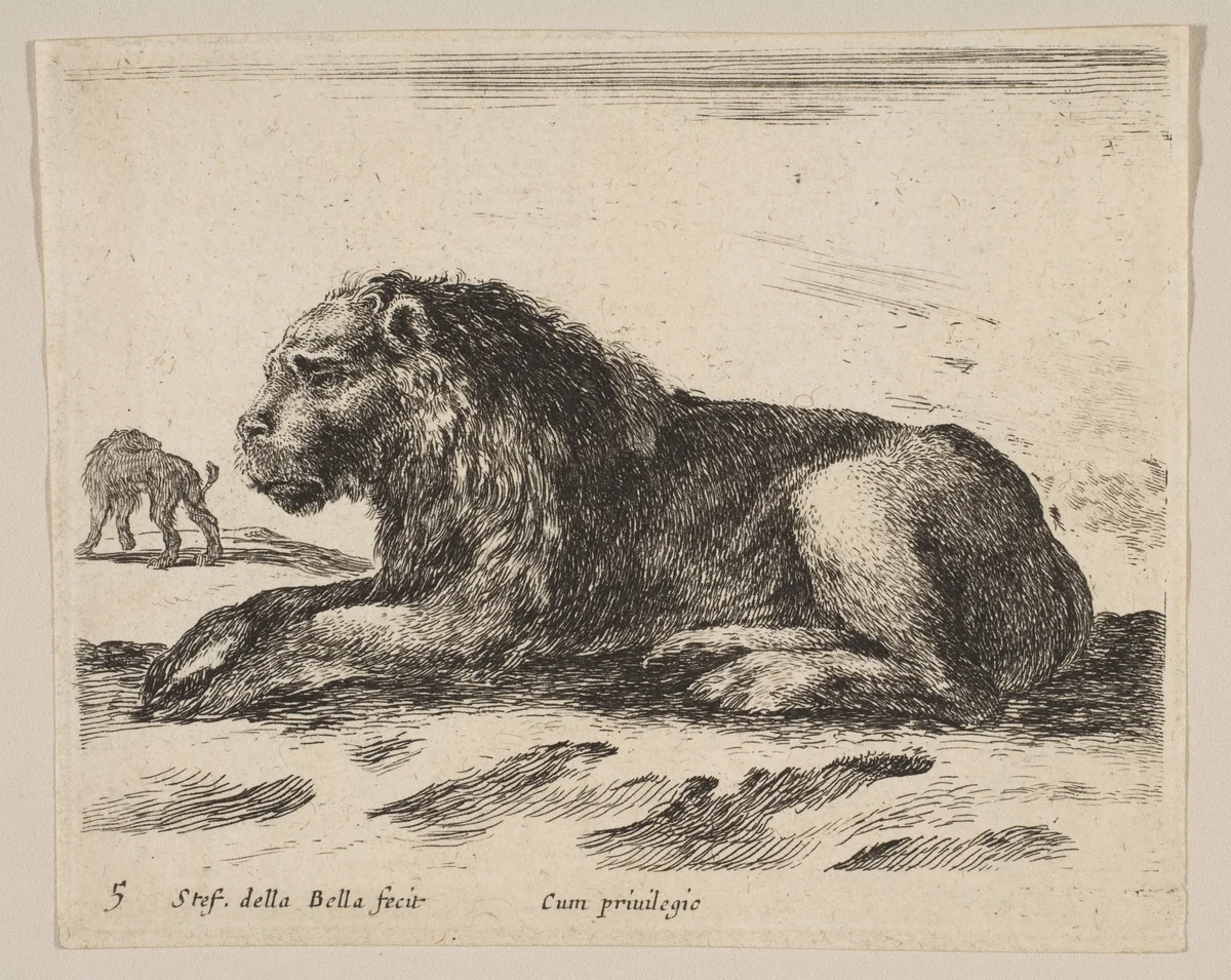Plate 5: Reclining Lion, from "Various animals" (Diversi animali) by Stefano della Bella, print, 1636-1646