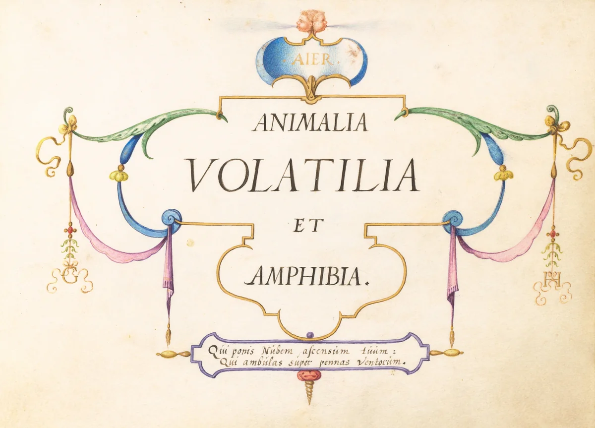 Title Page by Joris Hoefnagel, drawing, 1570-1599