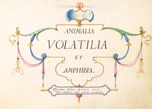 Title Page by Joris Hoefnagel, drawing, 1570-1599