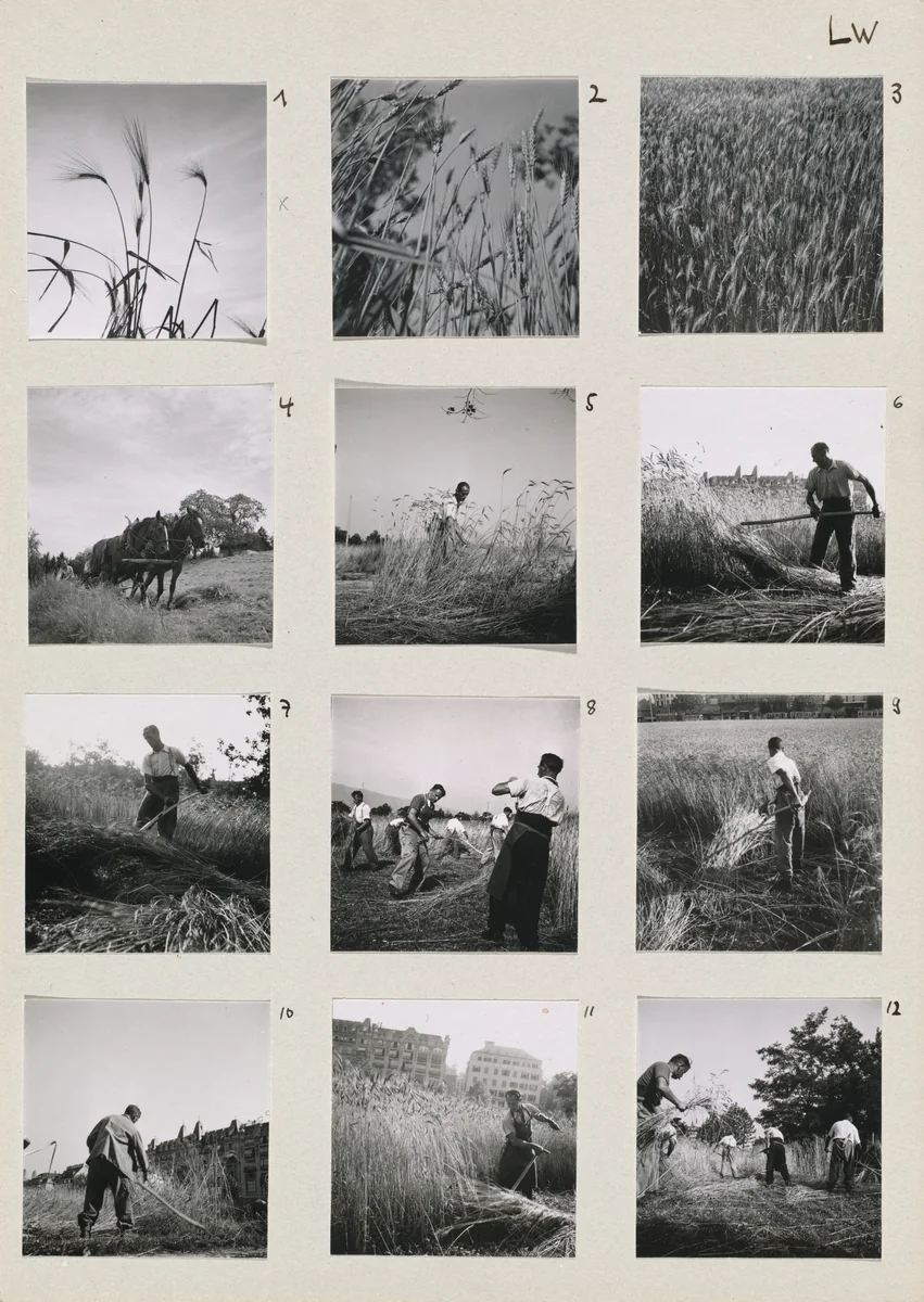 Die Landwirtschaft (Farming) 1-12 by Robert Frank, photograph, 1944-1946