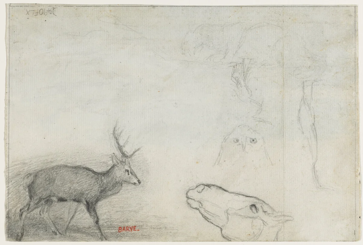 Studies of Animals (verso) by Antoine-Louis Barye, drawing, 1823-1875